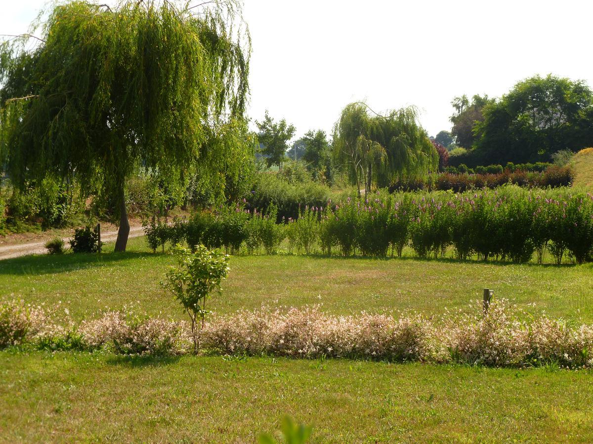 Camping Le Freche A L'ane Campsite 3*